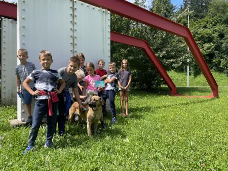 Razigrano ravensko poletje ŽIVE OBLIKE (6)